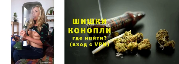 прущие грибы Балахна