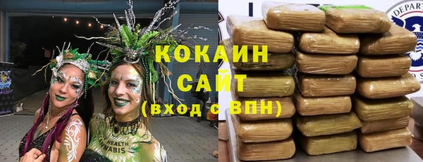 ГАЛЛЮЦИНОГЕННЫЕ ГРИБЫ Аркадак