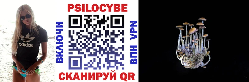 закладки  Полысаево  Псилоцибиновые грибы GOLDEN TEACHER 